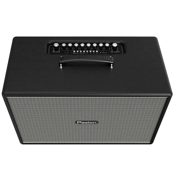 Loa Di Động Xách Tay Paramax PASION Mozo (Màu Đen)