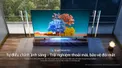 Smart Tivi Mini LED Toshiba AI 4K 85 Inch 85Z770RP