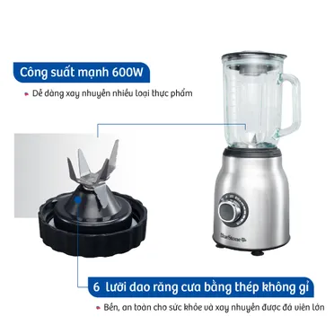 Máy xay sinh tố Bluestone BLB-5336 600W 2