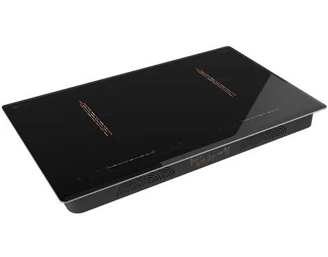 Bếp Đôi Hawonkoo CEH-204-IF - Thái Lan 1
