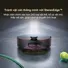 Robot Hút Bụi Lau Nhà Dreame Aqua 10 Pro Track - Đen