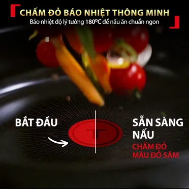 Chảo Chiên Cao Cấp Tefal Excellence Fusion G3380402 24cm 2