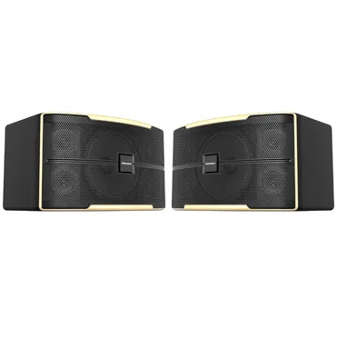 Loa Karaoke 10 Inches Paramax Z-1500
