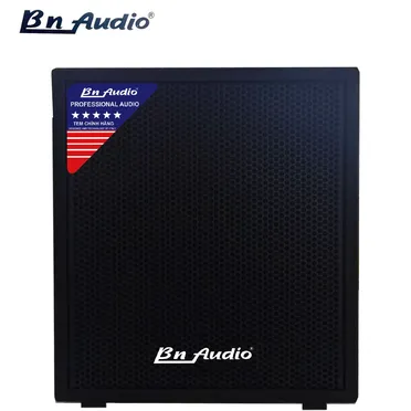 Loa Sub BN Audio SW2