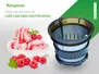 Máy Ép Chậm Kangaroo KG200SJD2
