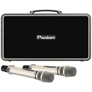 Loa Di Động Xách Tay Paramax PASION Arte (Golden Olive)