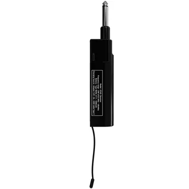 Micro Không Dây Tích Hợp DSP PASION ECHO 3