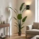 Chậu Cây Chuối Cảnh JWS2808