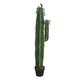 Chậu Cây Xương Rồng JWT2912