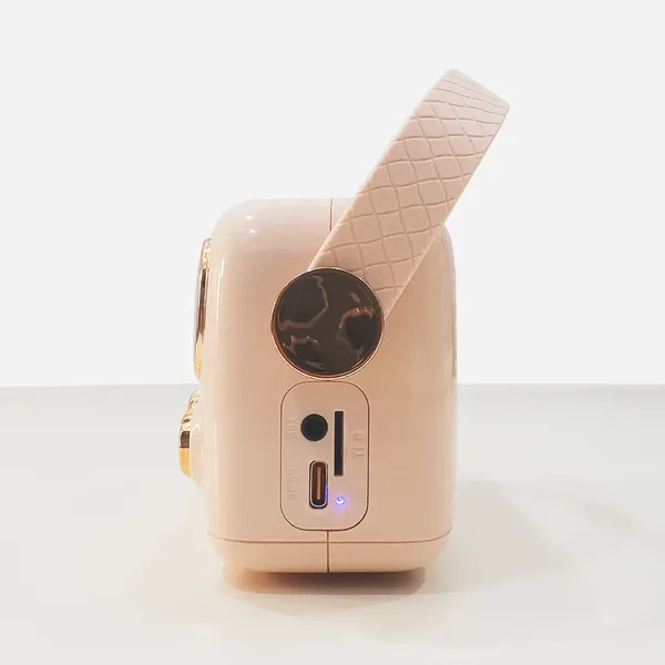 Bộ Loa Karaoke Mini Cổ Điển Bluetooth iCore VSM99 (Kèm 02 Micro)