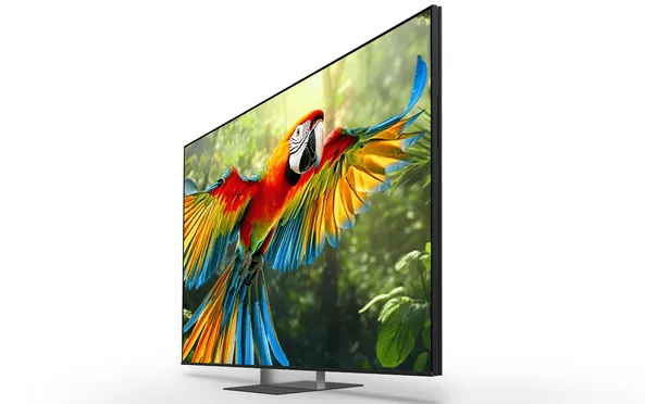 Google TiVi True RGB Sony 65 Inch BRAVIA 7 II K-65XR70M2 1