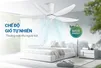 Quạt Trần 5 Cánh Sunhouse Apex APF7669W 60W
