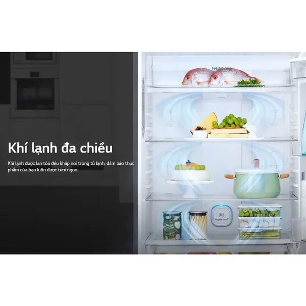Tủ Lạnh LG Inverter 209 Lít GN-B222WB