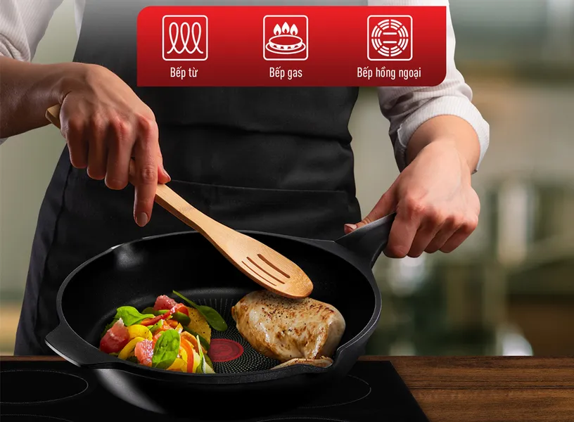 Chảo Đúc Cao Cấp Tefal Robusto 24cm E2490444