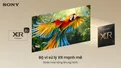 Google TiVi True RGB Sony 75 Inch BRAVIA 7 II K-75XR70M2