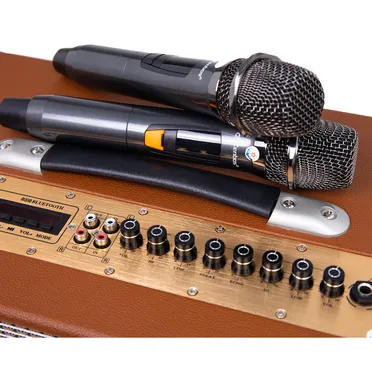 Loa Karaoke Xách Tay Zenbos P-300 6