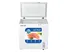Tủ Đông Hòa Phát 162 Lít HPF AN6162 1