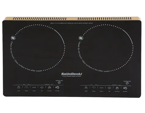 Bếp Đôi Điện Quang Saijodenki SD-6900 1