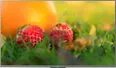 Sony Android Tivi 4K 49 Inch KD-49X8500H/S