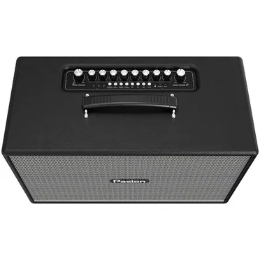 Loa Di Động Xách Tay Paramax PASION Enzo (Black Leather) 1