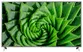 Smart Tivi LG 4K 82 Inch 82UN8000PTB ThinQ AI