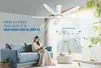 Quạt Trần 5 Cánh Sunhouse Apex APF7669W 60W