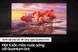 Smart Tivi Samsung QLED 4K 43 Inch QA43Q60B 1
