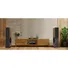 Loa Đứng PARAMAX D88 Limited (Walnut)