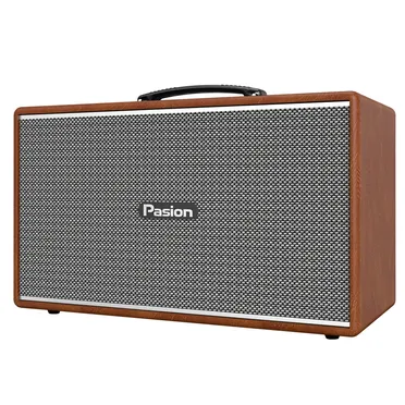 Loa Di Động Xách Tay Paramax PASION Enzo (Brown Leather) 0