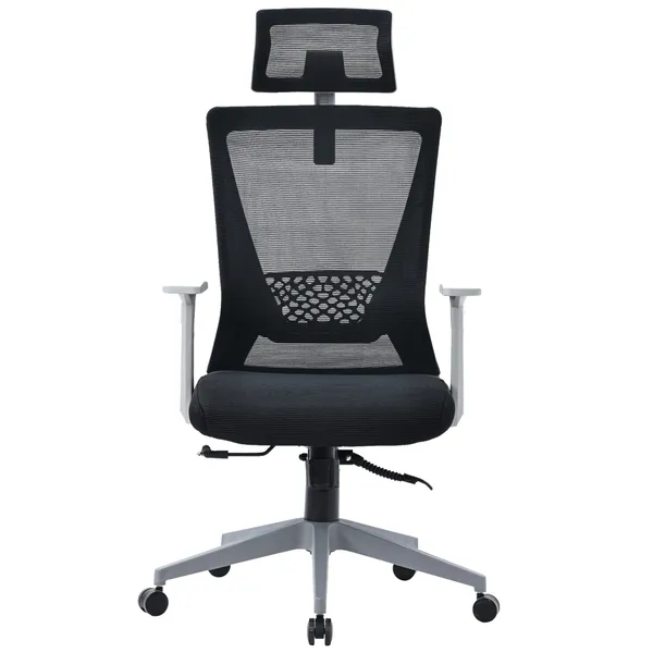 Ghế Văn Phòng Công Thái Học ECOOC-2108 Đen