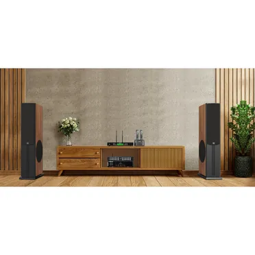 Loa Đứng PARAMAX D88 Limited (Walnut) 6
