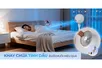 Quạt Tuần Hoàn Có Remote Sharp PJ-CD603V-C 24W