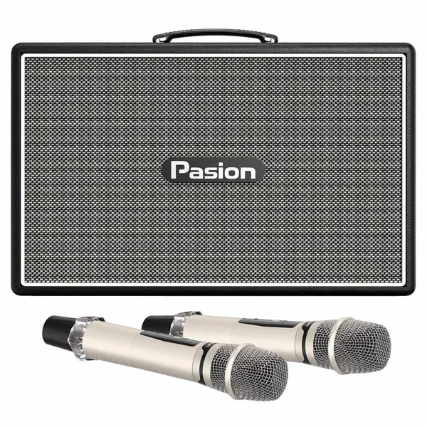 Loa Karaoke Di Động Xách Tay Paramax PASION Outro ( Black Leather)