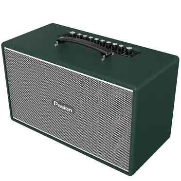 Loa Di Động Xách Tay Paramax PASION Enzo (Green Leather) 2
