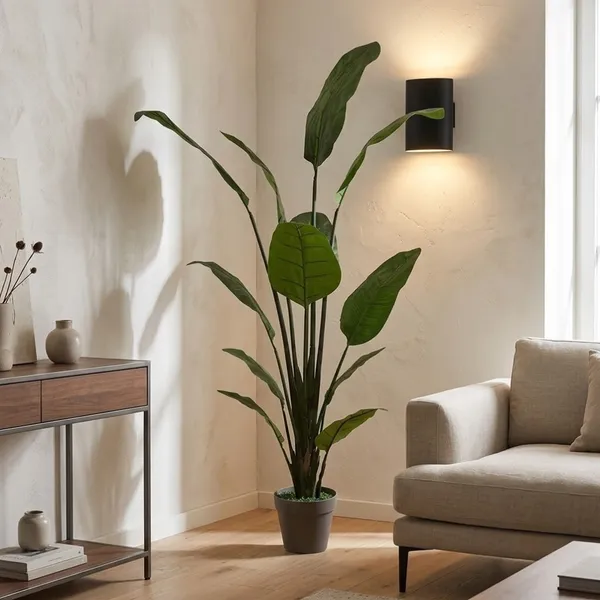 Chậu Cây Chuối Cảnh JWS2808