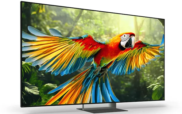 Google TiVi True RGB Sony 55 Inch BRAVIA 7 II K-55XR70M2 3
