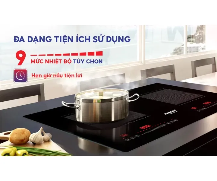 Bếp Điện Từ Đôi Sanaky VH4101HY