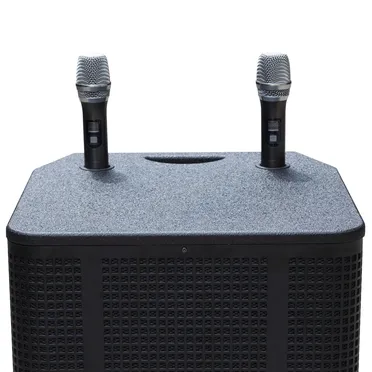 Loa Kéo Karaoke iCore i-15 6