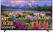 Panasonic Android Tivi 4K 65 Inch TH-65JX700V