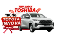 13-icon-toshiba-samthaga 