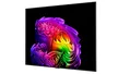 Smart Tivi LG OLED AI 4K 55 Inch OLED55G6PSA