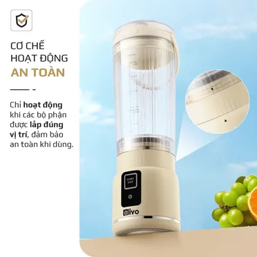 Máy Xay Sinh Tố Cầm Tay Olivo PB02 8