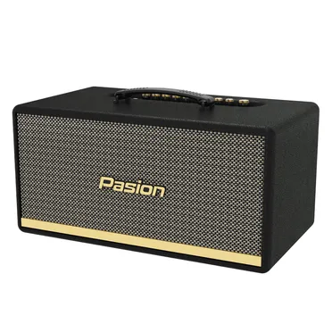 Loa Di Động Xách Tay Paramax PASION 2 1