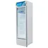 Tủ Mát Hòa Phát 280 Lít HSC 700F1R1