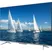 TCL Android Tivi 4K 55 Inch 55P725 2