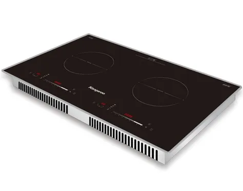 Bếp Điện Từ Đôi Kangaroo KG868i - Thái Lan