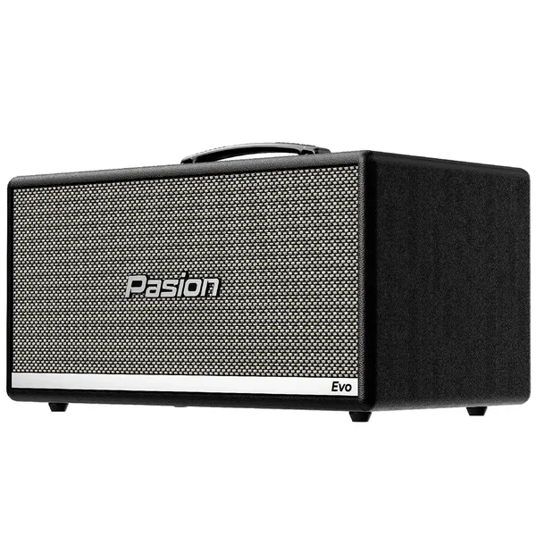 Loa Karaoke Di Động Xách Tay Paramax PASION Evo (Black Leather)