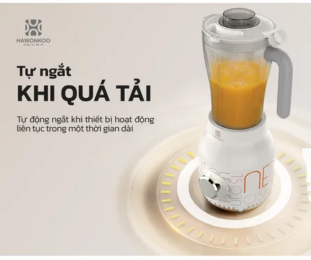 Máy Xay Đa Năng Hawonkoo SEOUL-BEH-001 600W 26