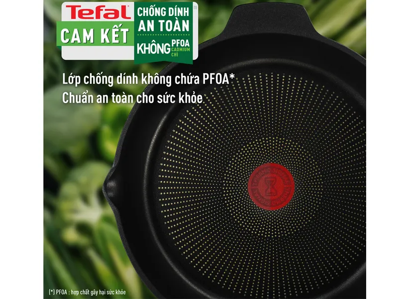 Chảo Đúc Cao Cấp Tefal Robusto 24cm E2490444