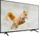 Android Tivi 4K TCL 55 Inch 55P618 2